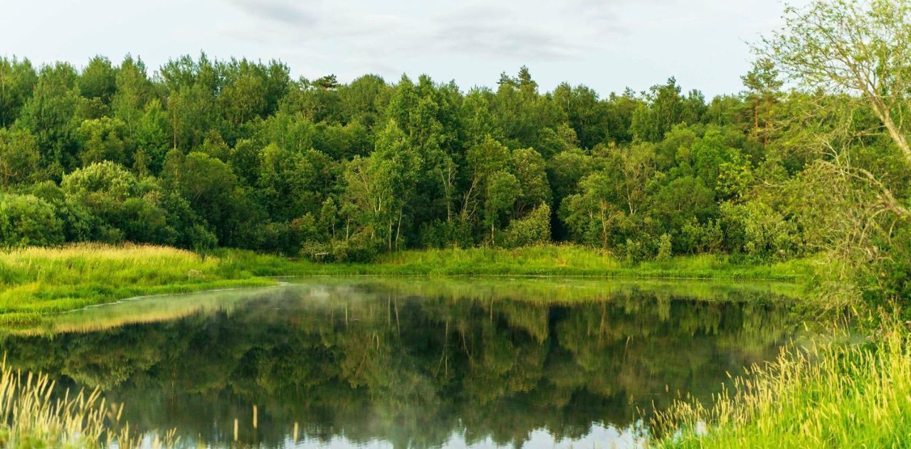 земля р-н Тосненский д Ладога Федоровское городское поселение фото 11