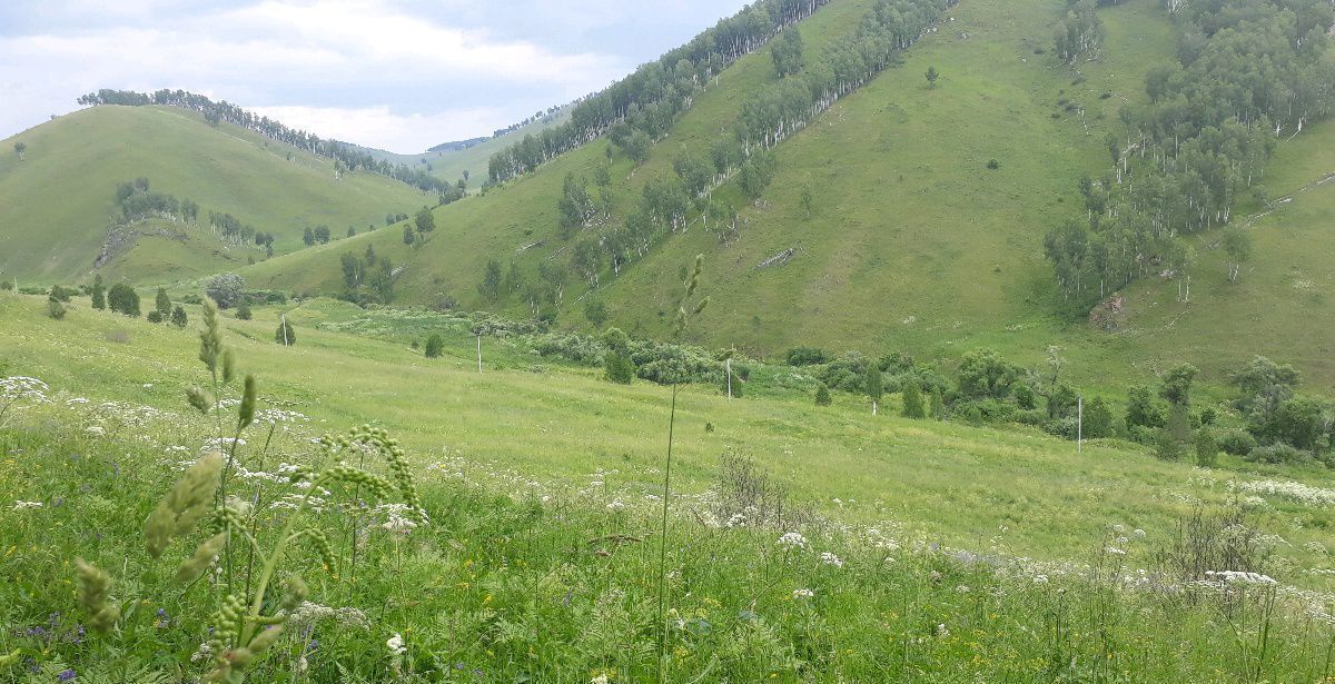 земля р-н Алтайский Республика Алтай, Горно-Алтайск фото 2