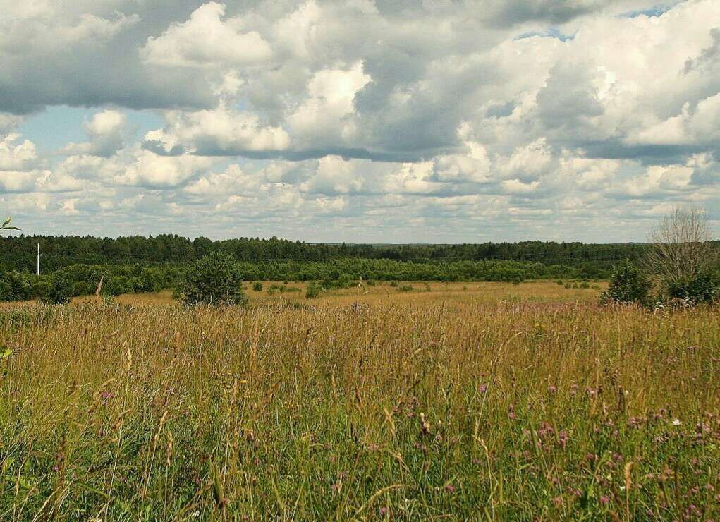 земля р-н Чамзинский рп Чамзинка поселок Сайгуши фото 1