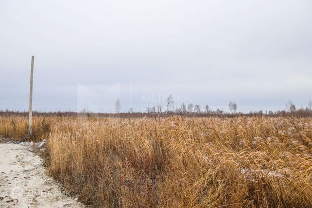 снт Липовый остров ул 1-я Западная городской округ Тюмень фото