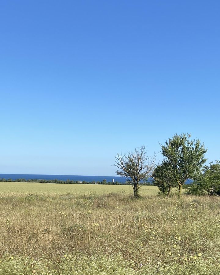 земля р-н Черноморский пгт Черноморское Окунёвское сельское поселение, урочище Морское фото 4