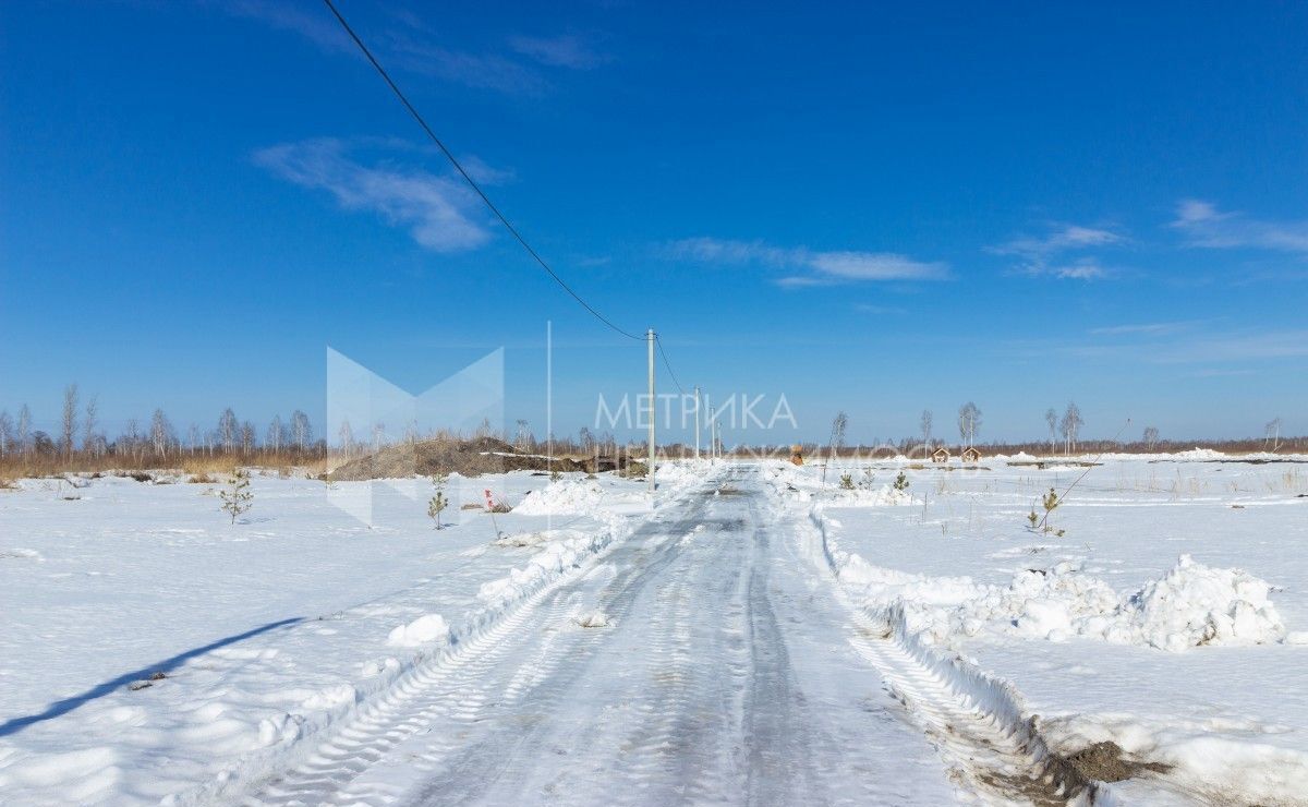 земля г Тюмень р-н Центральный снт Липовый остров ул 1-я Западная фото 3