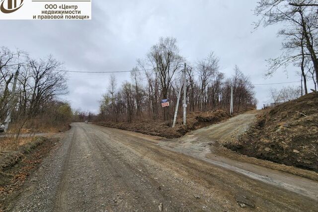 Артёмовский городской округ, садоводческое некоммерческое товарищество Клён фото