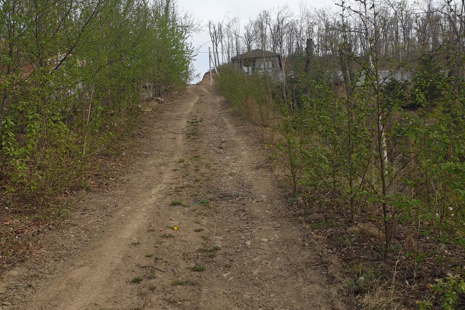 земля г Владивосток п Трудовое Владивостокский городской округ, дачный массив Синяя Сопка фото 3