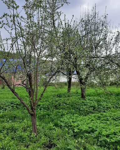 земля пгт Редант 2-й Республика Северная Осетия — г. о. Владикавказ фото