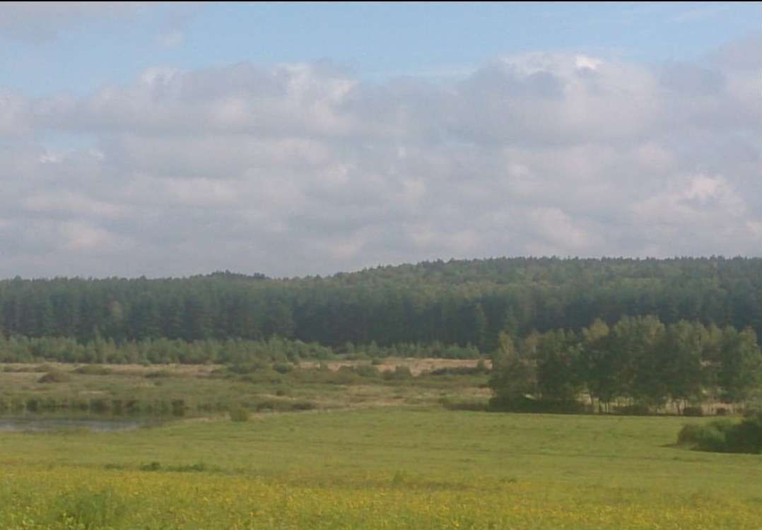 земля р-н Богородский д Победиха Богородск фото 11
