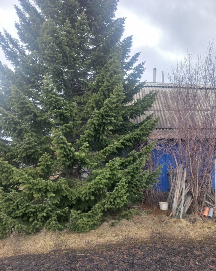 дом р-н Кемеровский садоводческий потребительский кооператив Лесная Поляна, 119, Кемерово фото 3