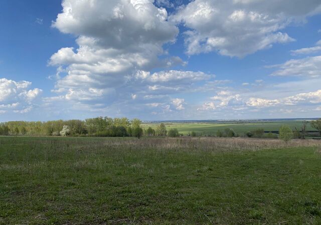 земля Вышгородское сельское поселение, Мурмино фото
