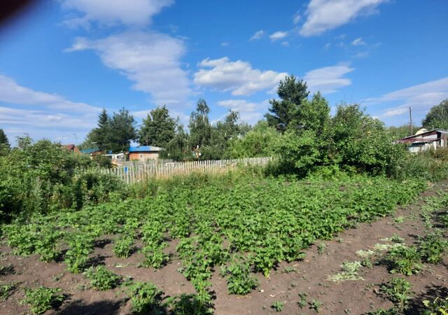 Камышловское сельское поселение, СНТ Сибирь, Лузино фото