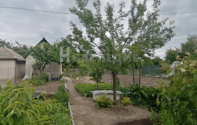 Белокалитвинское городское поселение, садоводческое некоммерческое товарищество Дружный фото