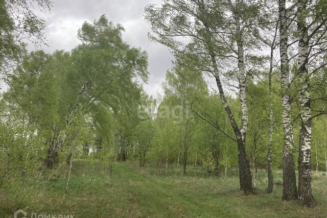 земля деревня Кожемякино фото