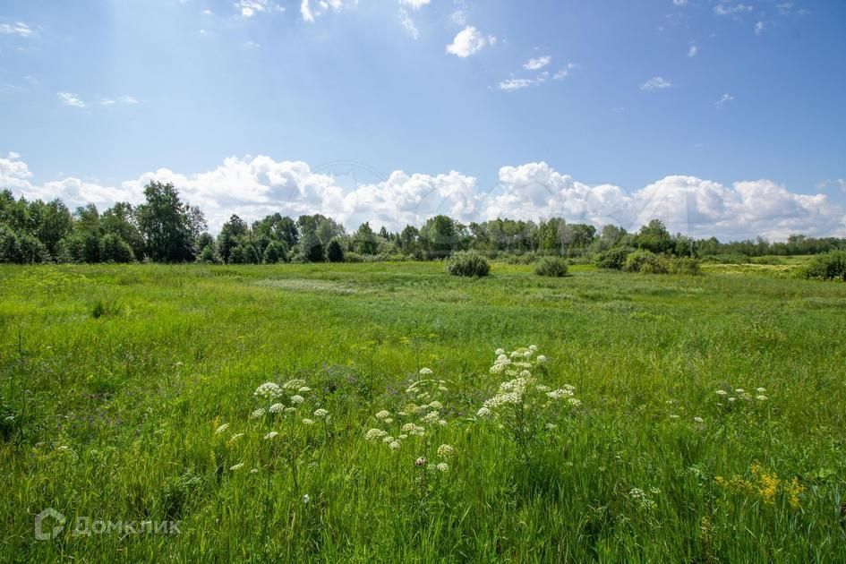 земля р-н Тюменский фото 1