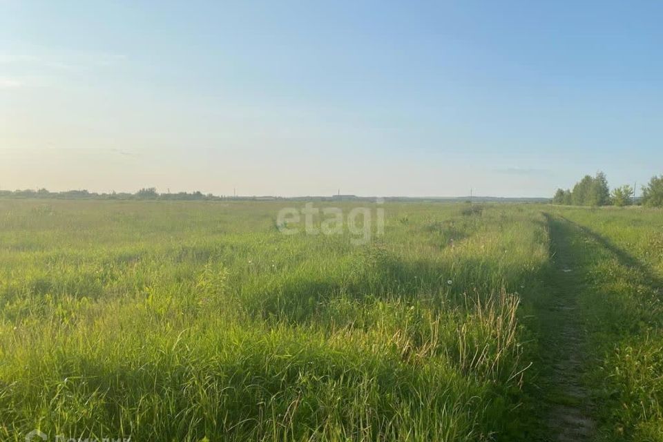 земля р-н Ярославский деревня Глухово фото 4