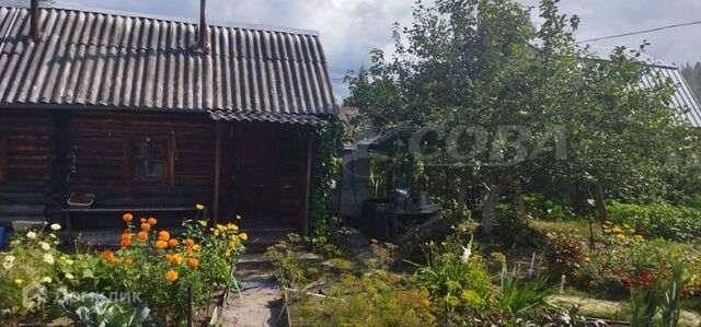 городской округ Тюмень, садоводческое некоммерческое товарищество Сосенка фото