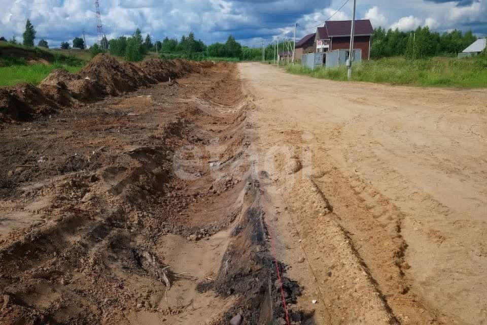 земля р-н Ярославский д Климовское снт тер.Силикатчик-2 ул Рябиновая 5 фото 5