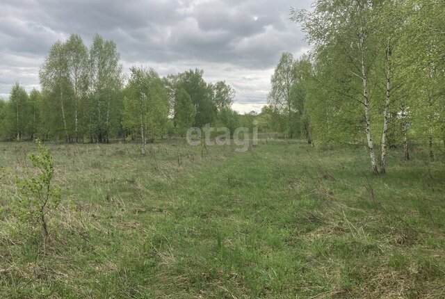 земля д Кожемякино сельское поселение Покровское фото
