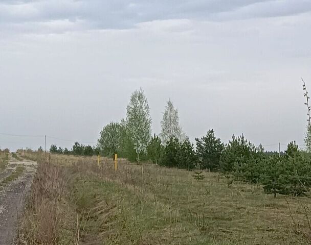 земля М-7, подъезд к Владимиру, 7-й километр фото