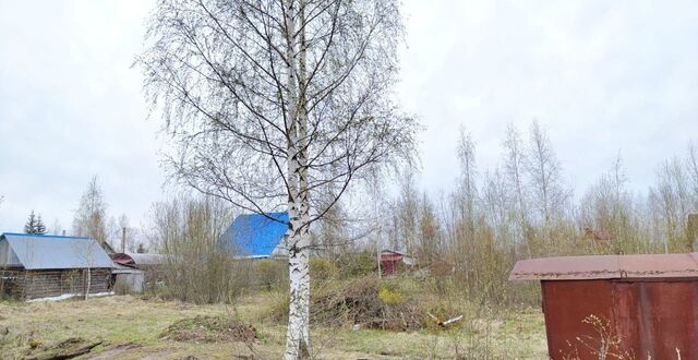 земля д Стрелка ул Сосновая Трубичинское сельское поселение, Великий Новгород фото
