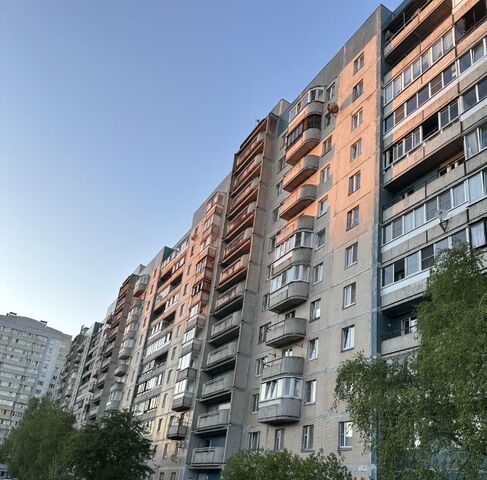 квартира метро Комендантский Проспект фото