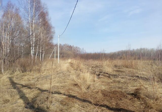 Мичуринское сельское поселение, Хабаровск фото