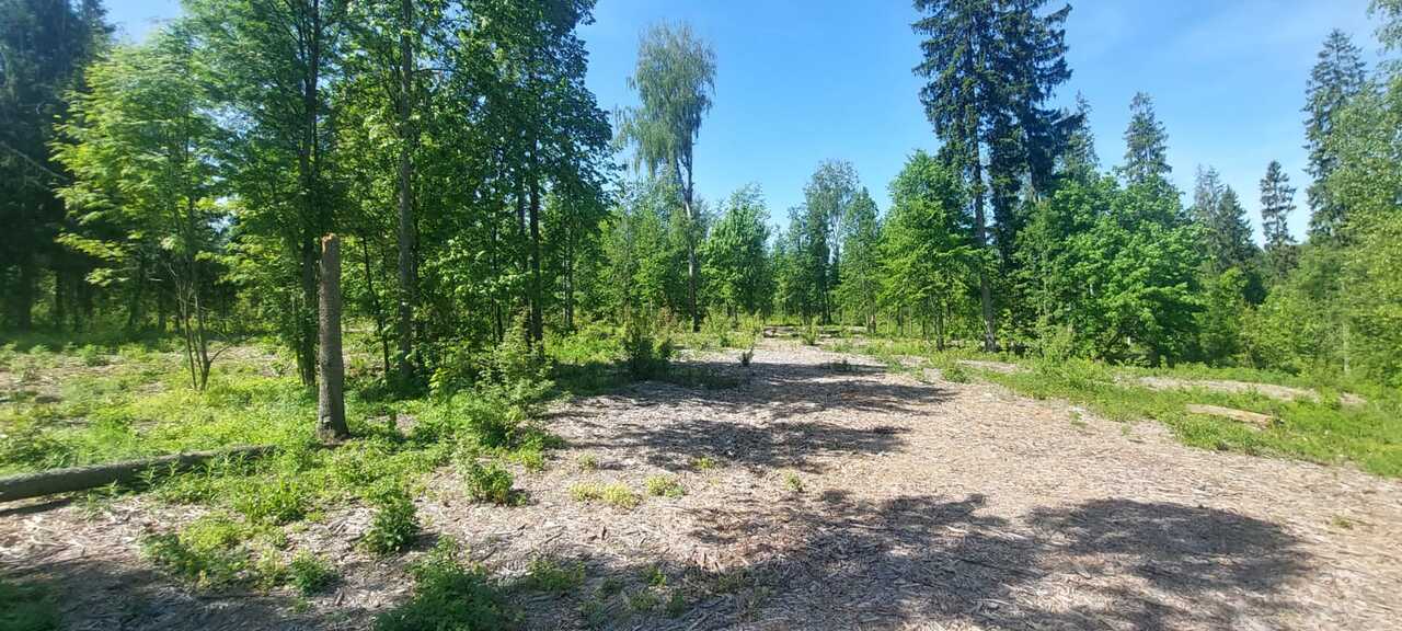 земля городской округ Солнечногорск д Баранцево садовые участки, Ленинградское шоссе Москва фото 3