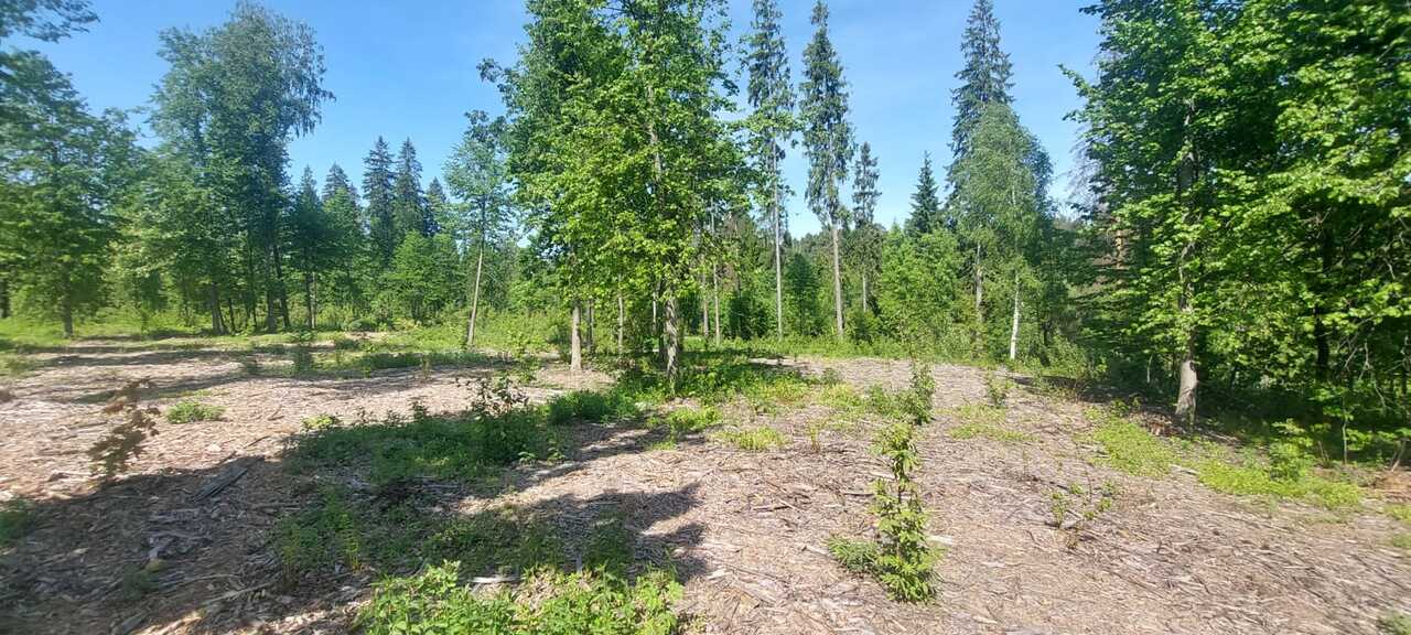 земля городской округ Солнечногорск д Баранцево садовые участки, Ленинградское шоссе Москва фото 6