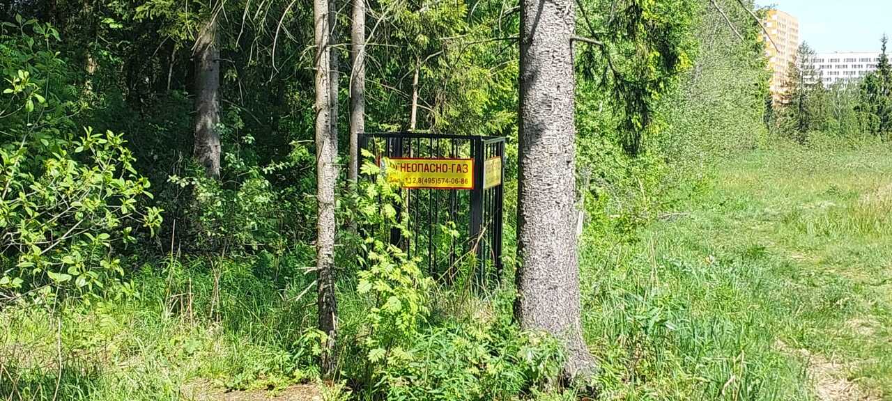 земля городской округ Солнечногорск д Баранцево садовые участки, Ленинградское шоссе Москва фото 13