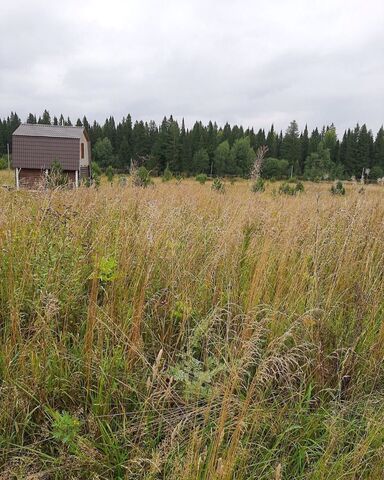 земля Заболотское сельское поселение, Пермь фото