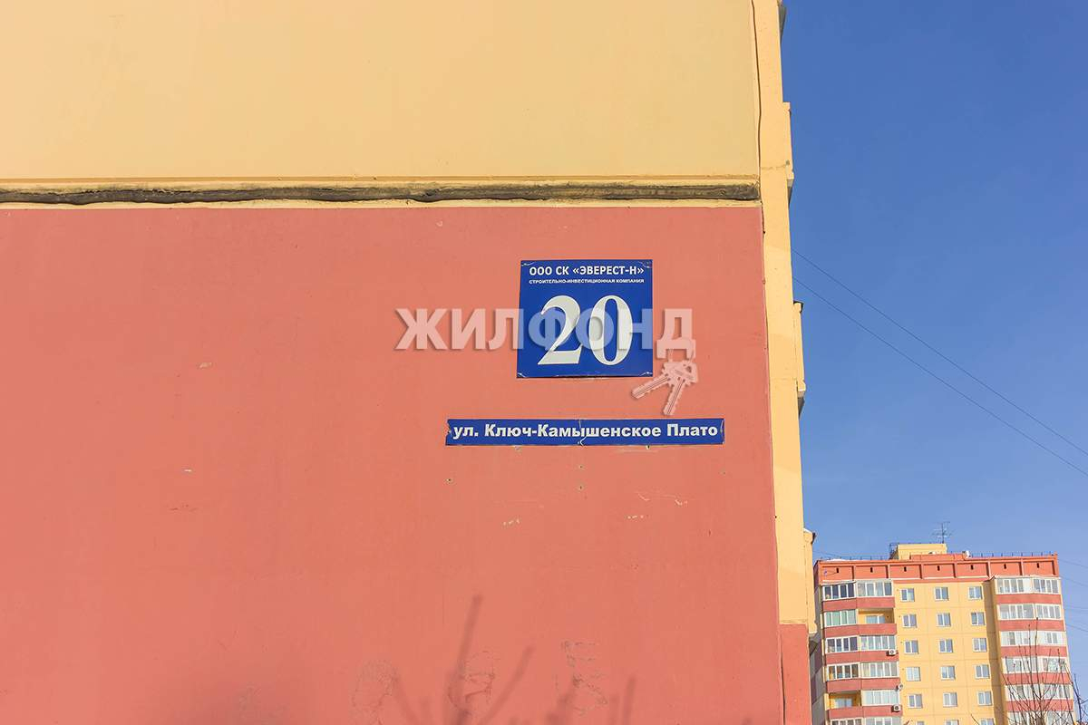 квартира г Новосибирск ул Ключ-Камышенское Плато 20 Речной вокзал фото 14
