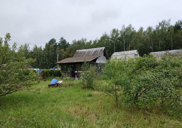 Белоозёрский, СНТ Рассвет фото