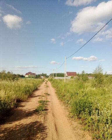 Кузнечихинское сельское поселение, Кузнечихинский сельский округ, Лесная Поляна фото