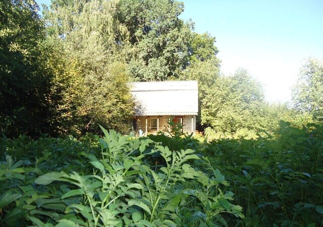Листвянское сельское поселение, садоводческое товарищество Берёзка фото