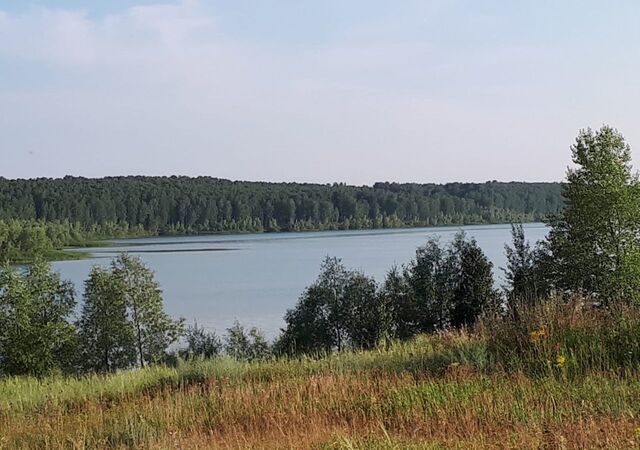 земля Новоалтайск фото