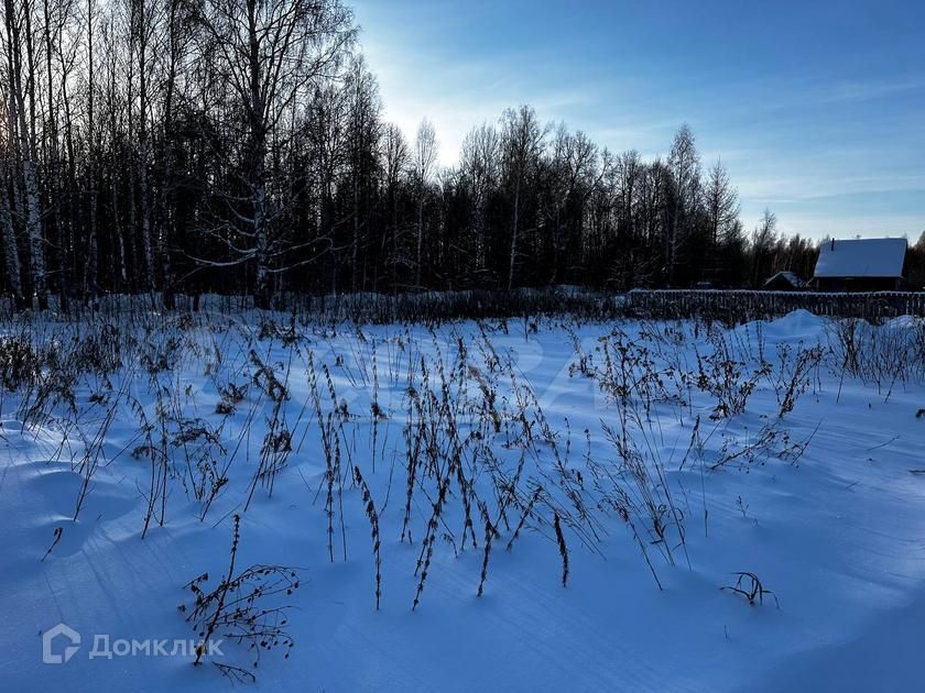 земля р-н Нижнетавдинский СНТ Геофизик 2 фото 3