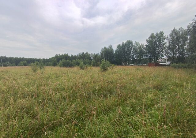 Покровское сельское поселение, Волга фото
