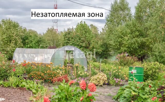 садоводческое общество Русь фото