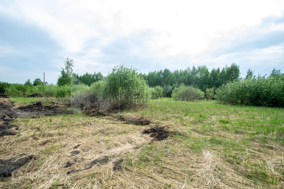 земля городской округ Тюмень, садовое товарищество Поляна фото 3