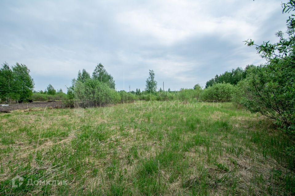 земля городской округ Тюмень, садовое товарищество Поляна фото 4