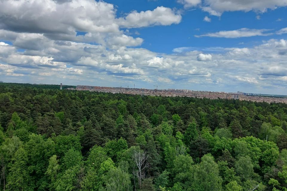 квартира городской округ Ленинский д Боброво ул Лесная 24 фото 4