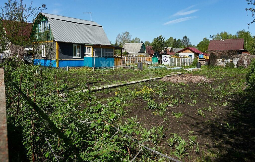 земля г Новосибирск Берёзовая роща снт тер.Золотая Горка 1-я аллея фото 2