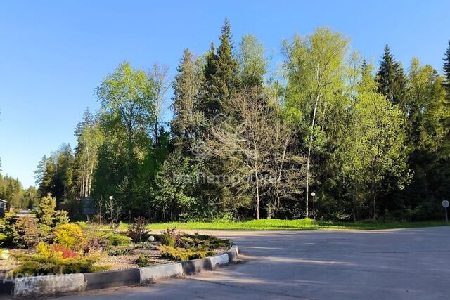 земля д Могильцы коттеджный поселок Пушкинский лес фото
