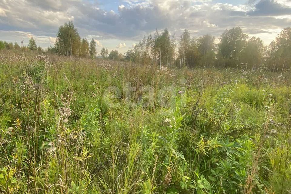 земля г Томск городской округ Томск, садовое товарищество Теплотехник фото 6