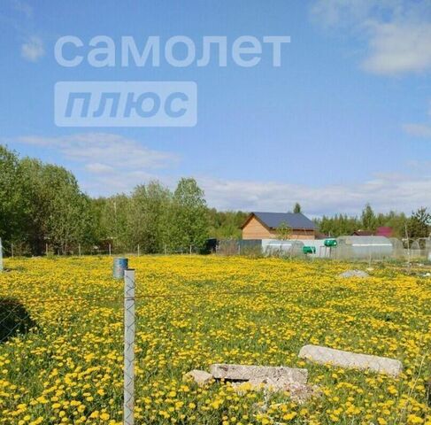 земля снт Сновицы-4 Новоалександровское муниципальное образование, 66 фото