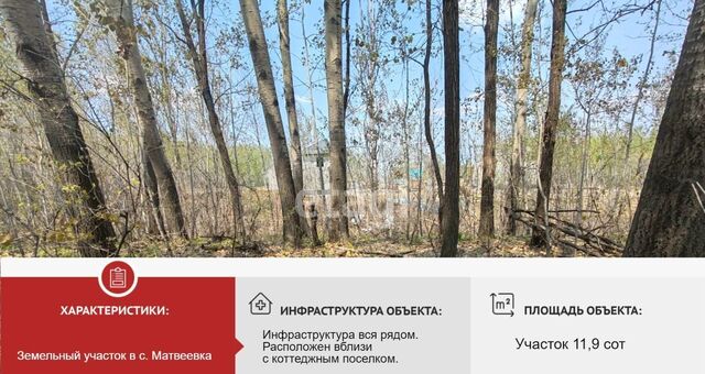 земля с Матвеевка Тополевское сельское поселение, Хабаровск фото
