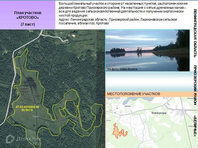 земля р-н Приозерский Ларионовское сельское поселение фото 10