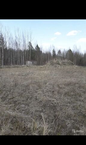 земля п Зеленый Бор 184, Калининский муниципальный округ, Тверь фото