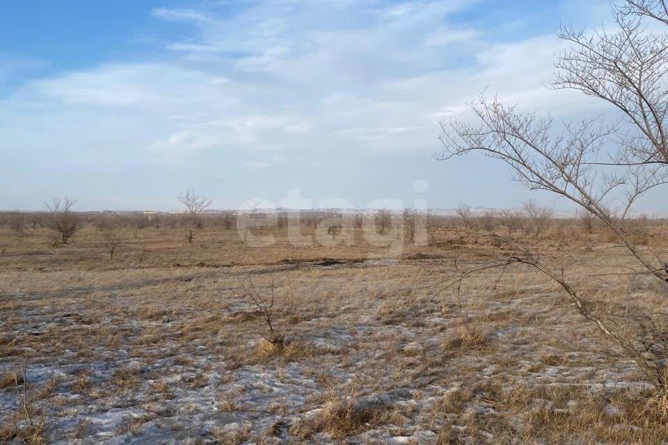 земля р-н Усть-Абаканский с Зеленое ул Мичурина фото 2