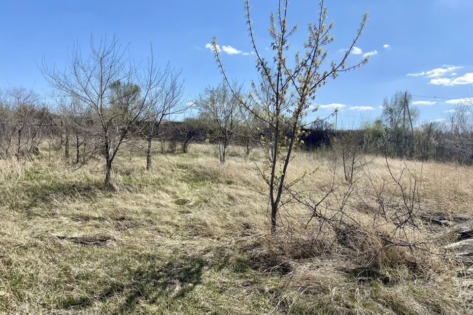 земля городской округ Абакан, СОСН Подсинее-Сирень, улица Энтузиастов, 93 фото 4