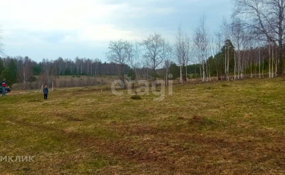 земля р-н Кусинский село Злоказово фото 2