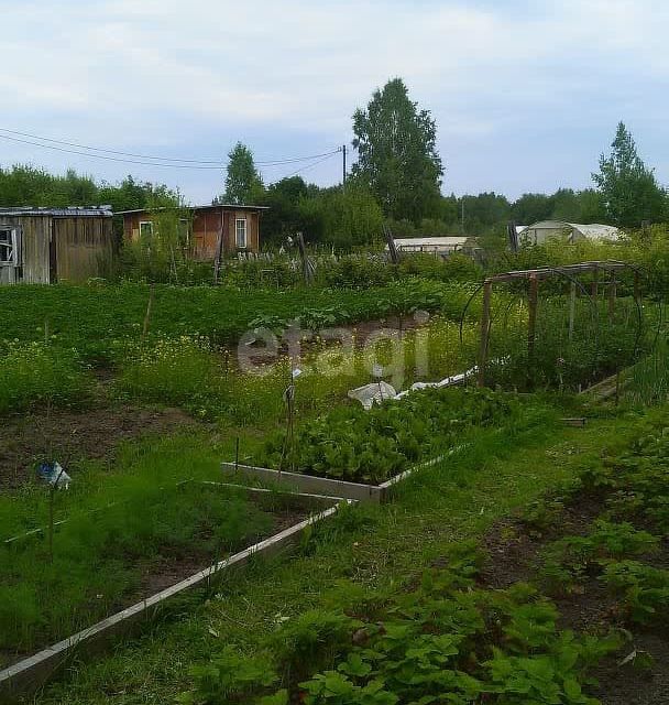 дом р-н Тобольский дачное товарищество Автомобилист-2 фото 4